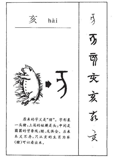 亥部首的字|漢字「亥」：基本資料